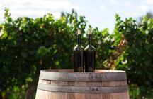 Full-Day Boutique Winery and Wine Tasting Tour from Fez