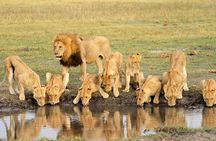 4 Days Mid-range Safari in Serengeti, Ngorongoro and Tarangire