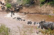 4 Days Private Migration Midrange Safari