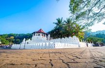 Kandy Day Tour from Colombo