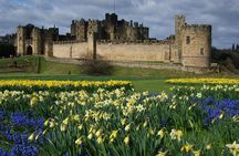 1 Day Alnwick Castle, Holy Island & Scottish Borders
