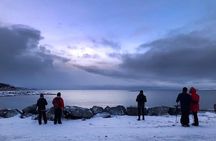 Arctic Coastal Walk