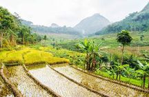 Yogyakarta: Selogriyo Rice Terraces Off The Beaten Track Trip 