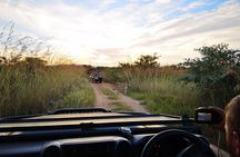 Durban: Go on Safari at 2 Game Reserves (Hluhluwe-Imfolozi) Pro Zeiss Binoculars
