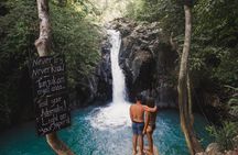 Dolphin Tour - Waterfall - Wanagiri Hill - Temple on the Lake - Free WiFi