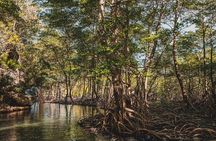 Private Hike and Kayak Tour in the Los Haitises National Park