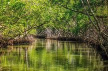 Private Hike and Kayak Tour in the Los Haitises National Park