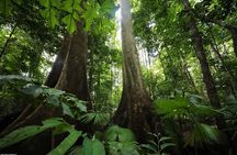 Private Hike and Kayak Tour in the Los Haitises National Park
