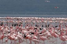 2 Days Lake Elementaita National park Safari