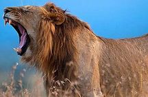 10 Days Kenya Cycling Safari Holiday