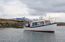 Reykjavik Shore Excursion: Puffin Sightseeing Cruise