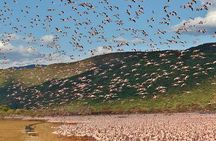 2 Days Lake Elementaita National park Safari