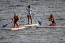 sunset stand up paddle