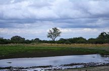 1 Day Okavango Delta Safari