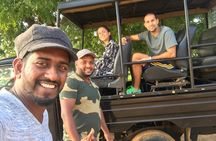 Safari at Wilpattu National Park from Negombo (Private Day Tour)