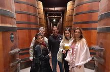 Private Full-Day Santiago City and Wine Tour 