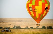 3 Days Masai Mara Wildlife private safari - Mid range budget