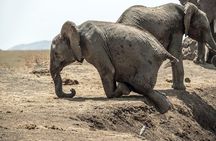 3 Days Masai Mara Wildlife private safari - Mid range budget