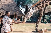4 Days Masai Mara and Lake Nakuru National Park Private Luxury Safari 