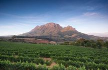 Cape Winelands Tour