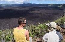 Galapagos Island Hopping (Santa Cruz, San Cristobal and Isabela)