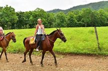 Jungle Horseback Riding + Chocolate Experience 