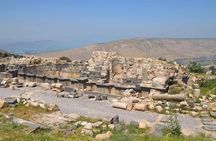 From Amman to North ( umm qais, Jerash and ajloun) 