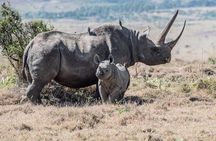 Game drive Day Tour