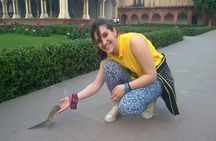 Taj Mahal Same Day Guided Tour