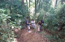 Ilha Grande: Pico do Papagaio - Private Hike - Sunrise or Daytime