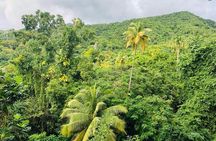 St Kitts Rainforest Tour