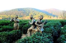 Suzhou Eco Village Private Day Tour with Lunch and Hot Spring Spa