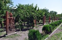 Private tour to Oshakan, Karmravor, Hovhanavank, Saghmosavank monasteries
