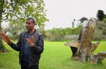 Durban from Within : An Immersive City Tour