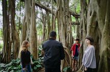 Durban from Within : An Immersive City Tour