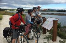 Napier Pub & Winery BIKE Ride with MIDDAY Shuttle - Self-Guided
