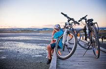Napier Pub & Winery BIKE Ride with MIDDAY Shuttle - Self-Guided