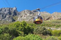 Table Mountain, Penguins, Cape of good hope and Stellenbosch tour