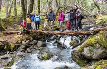 El Chalten Full Day to Lago del Desierto & Glaciar Vespignani