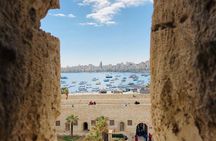 Private Alexandria tour from North Coast (Marsa Matruh) 