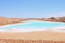 Private Siwa Oasis Day tour from Marsa Matruh (North Coast) 