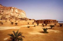 Private Siwa Oasis Day tour from Marsa Matruh (North Coast) 