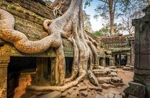 A Day Angkor Wat Tempel Tour