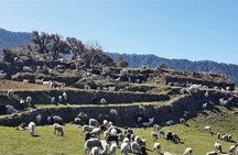 Nag tibba Trek