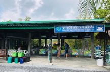4 Island Tour by Traditional Big Longtail Boat from Krabi