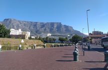 Table Mountain, Penguins, Cape of good hope and Stellenbosch tour