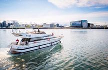 Whale Watching & Dolphin Yacht Cruise
