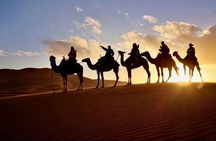 2 Days luxury desert tour from Fes
