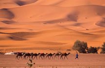 2 Days luxury desert tour from Fes