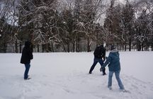  Private Tour Nami Island with Petite France 'and/or' The Garden of Morning Calm